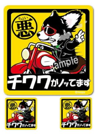 Amazon.co.jp: チワワ シール ステッカー ちょい悪犬 正方形 セット 大